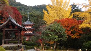 花と紅葉のお寺