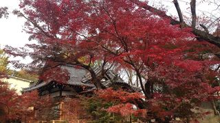 紅葉綺麗でした