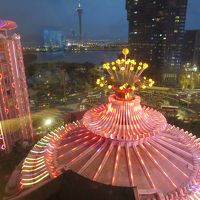 カーテンを開けたらこれ（笑）