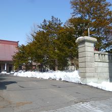 本堂に向かう脇道の街路樹の奥に銅像が有ります