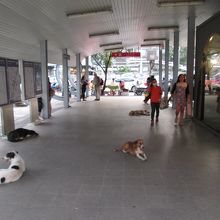 ペッチャブリー駅