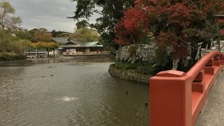 鶴岡八幡宮境内に。