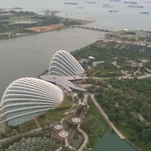 植物園が見える