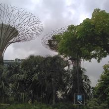 人工樹＋自然樹