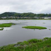 禅師峰寺に行ったならついでに寄ってみるべき