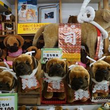 土佐犬のぬいぐるみもたくさんあってちょっと楽しめます By たびたび とさいぬパークのクチコミ フォートラベル