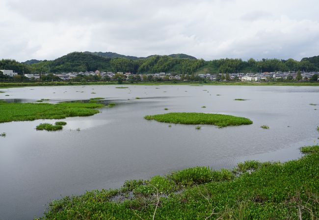 石土池