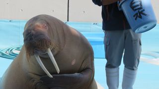 大分の水族館です