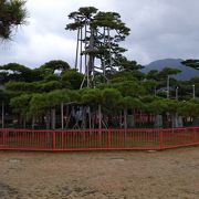 琵琶湖沿いの神社