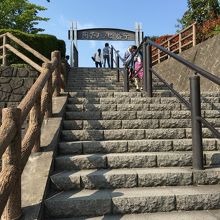 文字通り丘です。