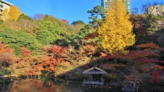 八芳園　2016年紅葉