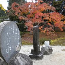 歌碑と紅葉