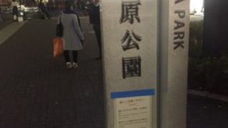 公園というより広場