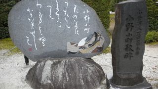 隋身院の紅葉　2016/11/24（木）