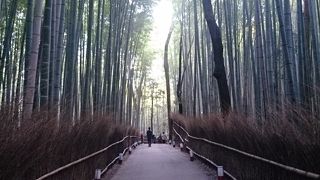 早朝が良いがライトアップも魅力