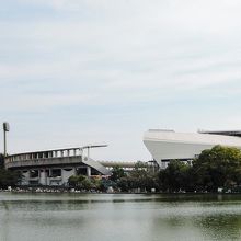 釣堀とスタジアム