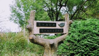 緑地と言うほど緑はありません