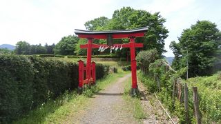 北条祭りを見に行きました