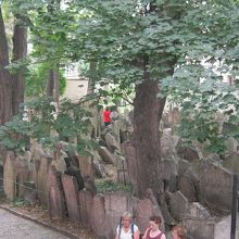 墓石の景観です。