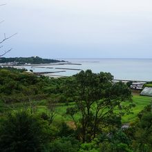 県立月見山こどもの森