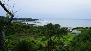 県立月見山こどもの森