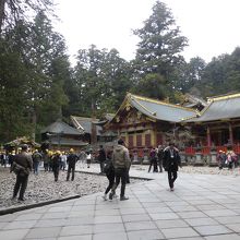 表門を入ってすぐ目の前です。