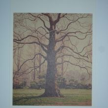 絵葉書　島野十郎展