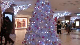 クリスマスツリー