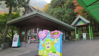 ここの猿は恐くありません