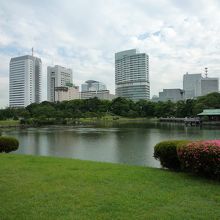 潮入の池と高層ビル