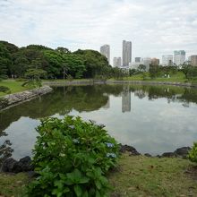 ゆったりとしている