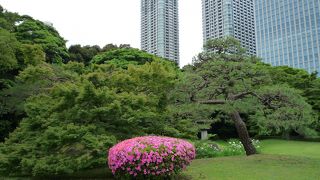 素晴らしい庭園でした