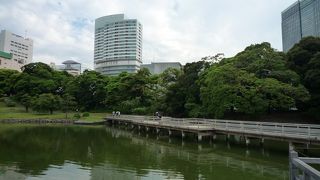 都内にある江戸の庭園では唯一現存する海水の池