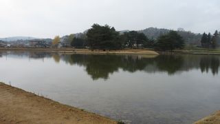 極楽浄土の世界 ♪