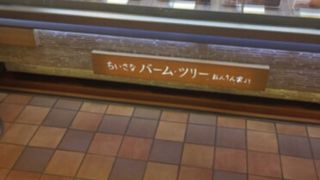 食べ歩きバームクーヘン