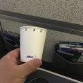 ANA（All Nippon Airways）