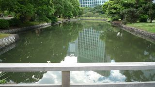 築地川とつながっています