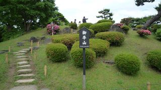 見晴らしがよい小山です