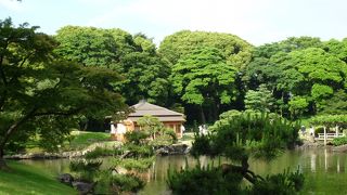 通常は内部の一般公開はされていません