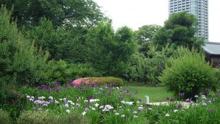 明治時代になってから作られた庭園
