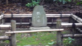 新銭座鴨場の近くにあります