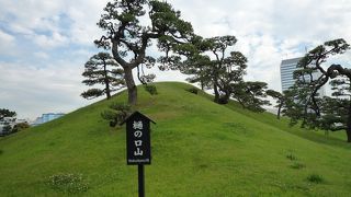 東京湾の近くにあります