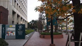 フコクフォレストスクウェア