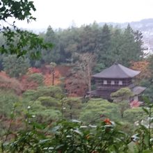 上から銀閣寺が見えます。