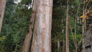 ご利益たくさん