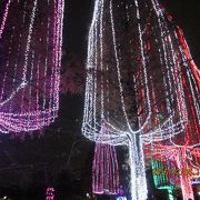 公園ならではのイルミネーション