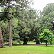 大きな公園