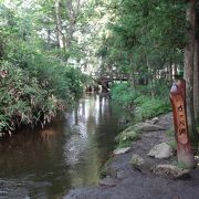 カッパ淵見学に遠野へ