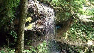 夏の涼し気スポット