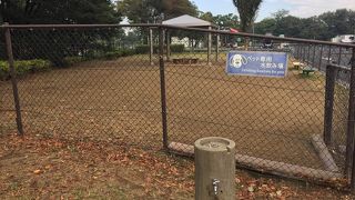 ドッグランのあるサービスエリア